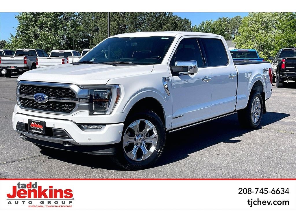 2022 Ford F-150 XL in Other — front three-quarter view